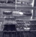 Misc. - People