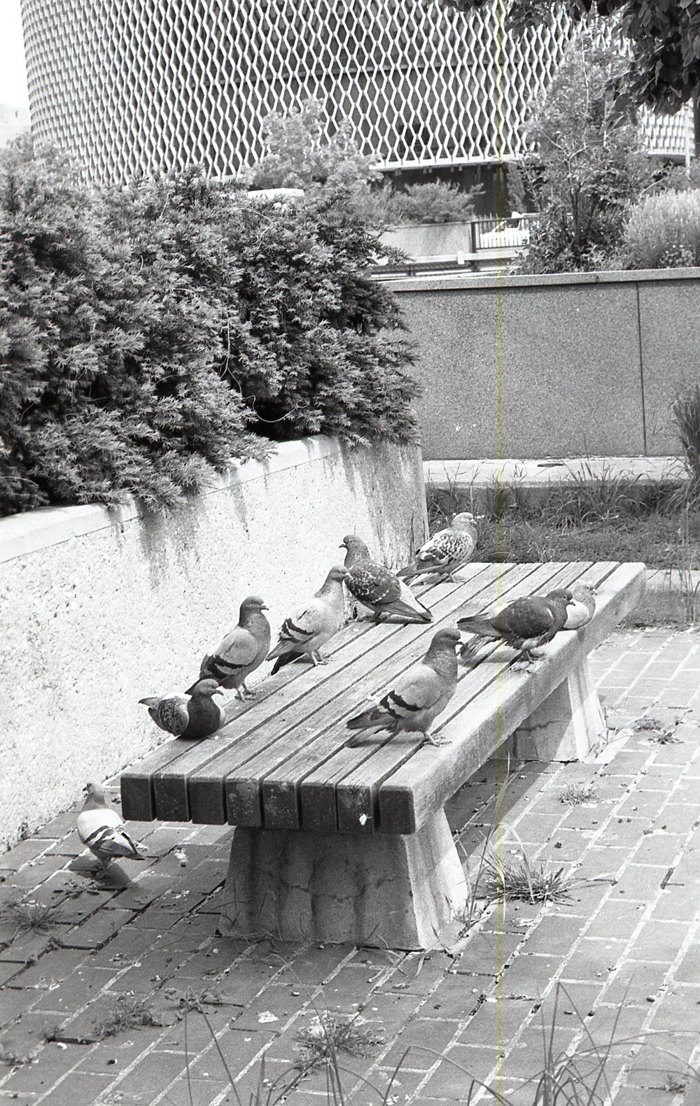 Misc. - People