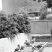 Misc. - People
