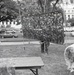 Misc. - People