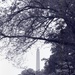 Misc. - People