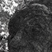 Misc. - People