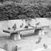 Misc. - People