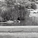 Misc. - People