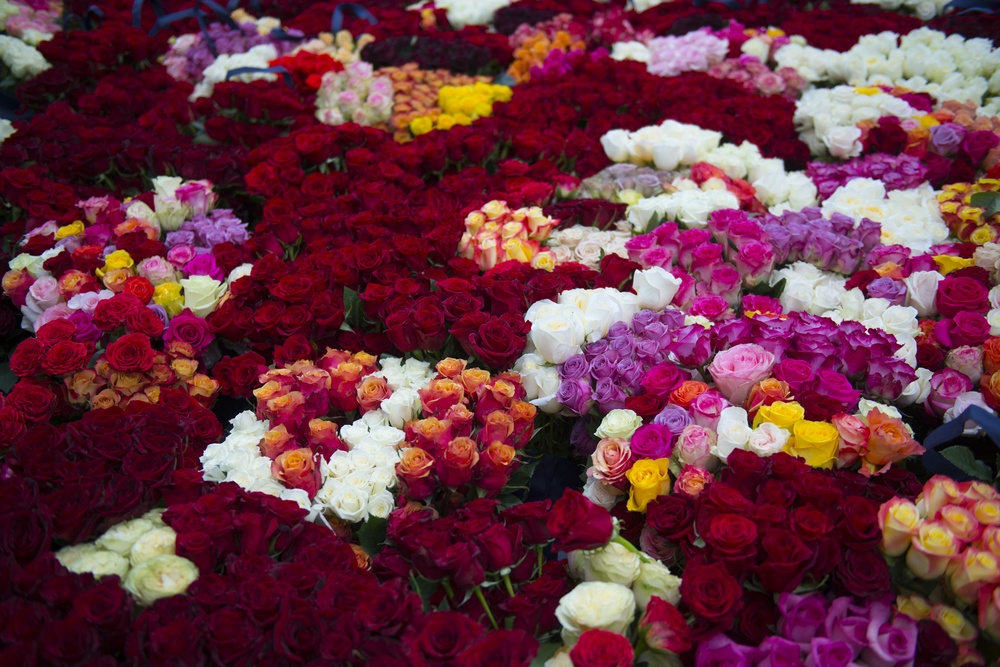 Memorial Flowers Foundation Volunteers Lay Roses at Headstones