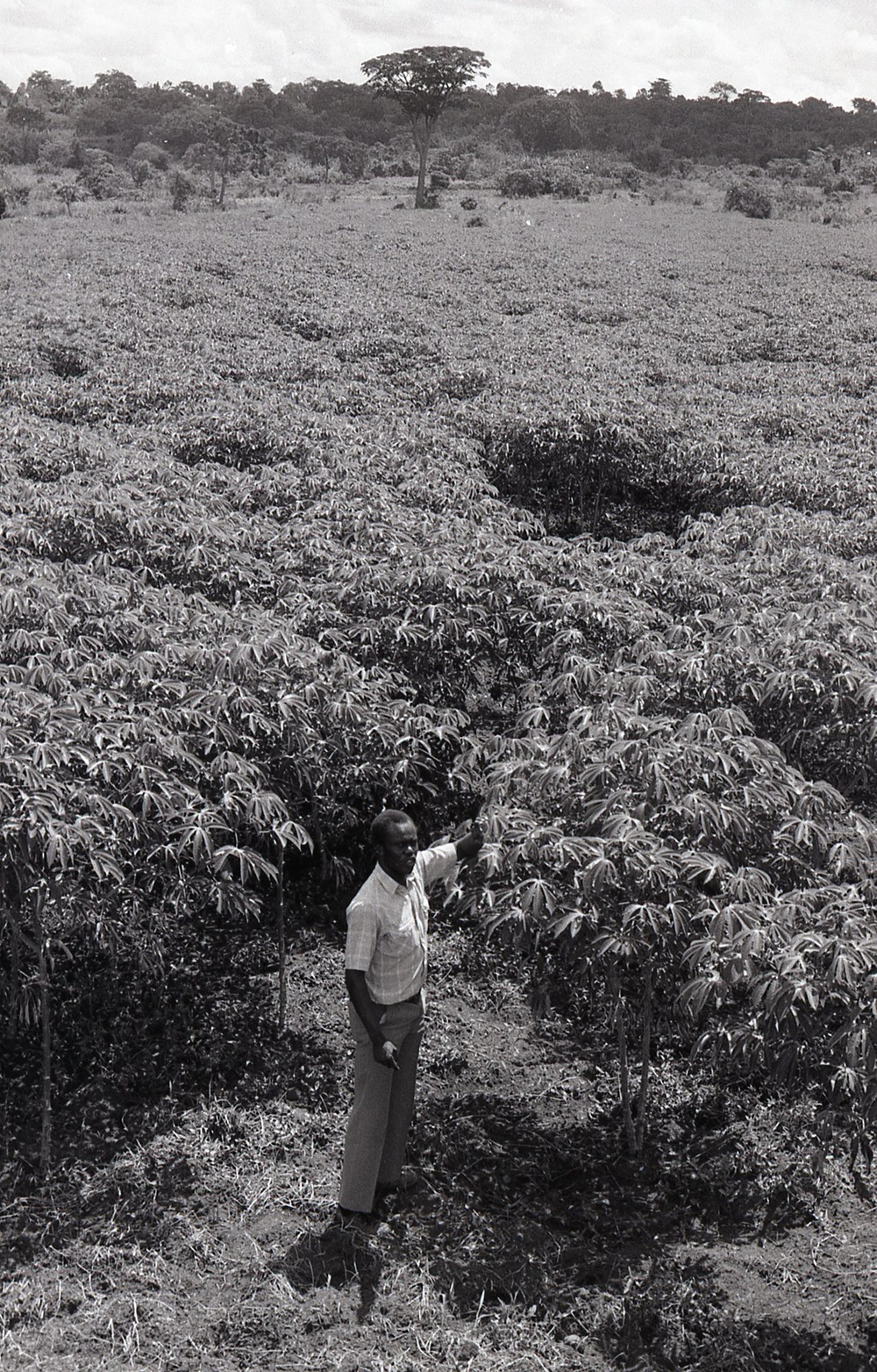 Photos by Millie Morton in Uganda