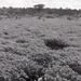 Photos by Millie Morton in Uganda