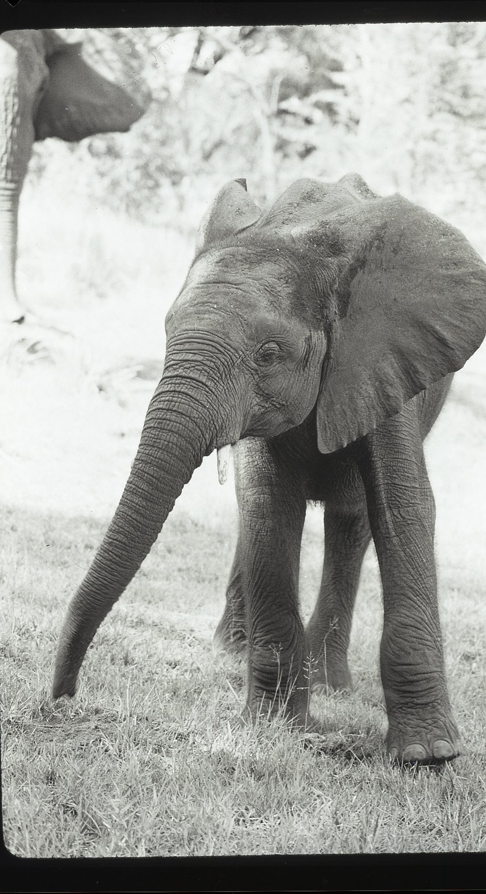Photos by Millie Morton in Uganda