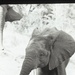 Photos by Millie Morton in Uganda