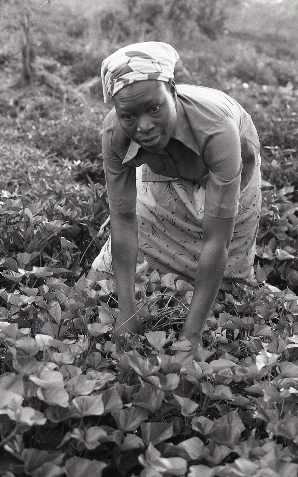 Photos by Millie Morton in Uganda