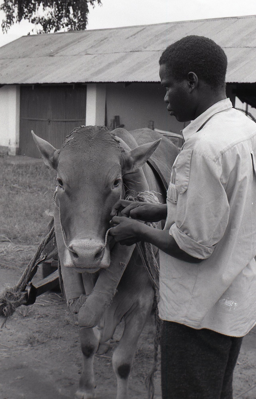 Photos by Millie Morton in Uganda