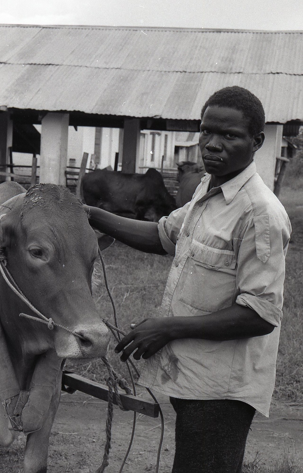 Photos by Millie Morton in Uganda