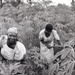 Photos by Millie Morton in Uganda