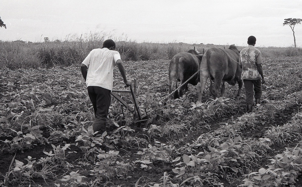 Photos by Millie Morton in Uganda