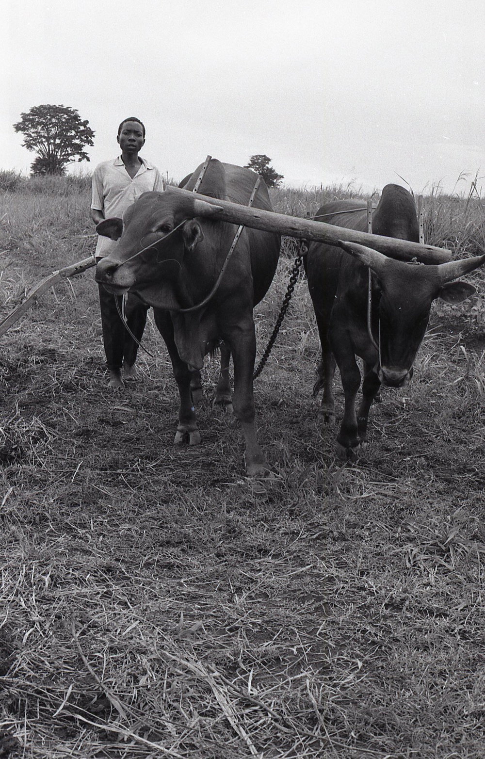 Photos by Millie Morton in Uganda