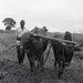 Photos by Millie Morton in Uganda
