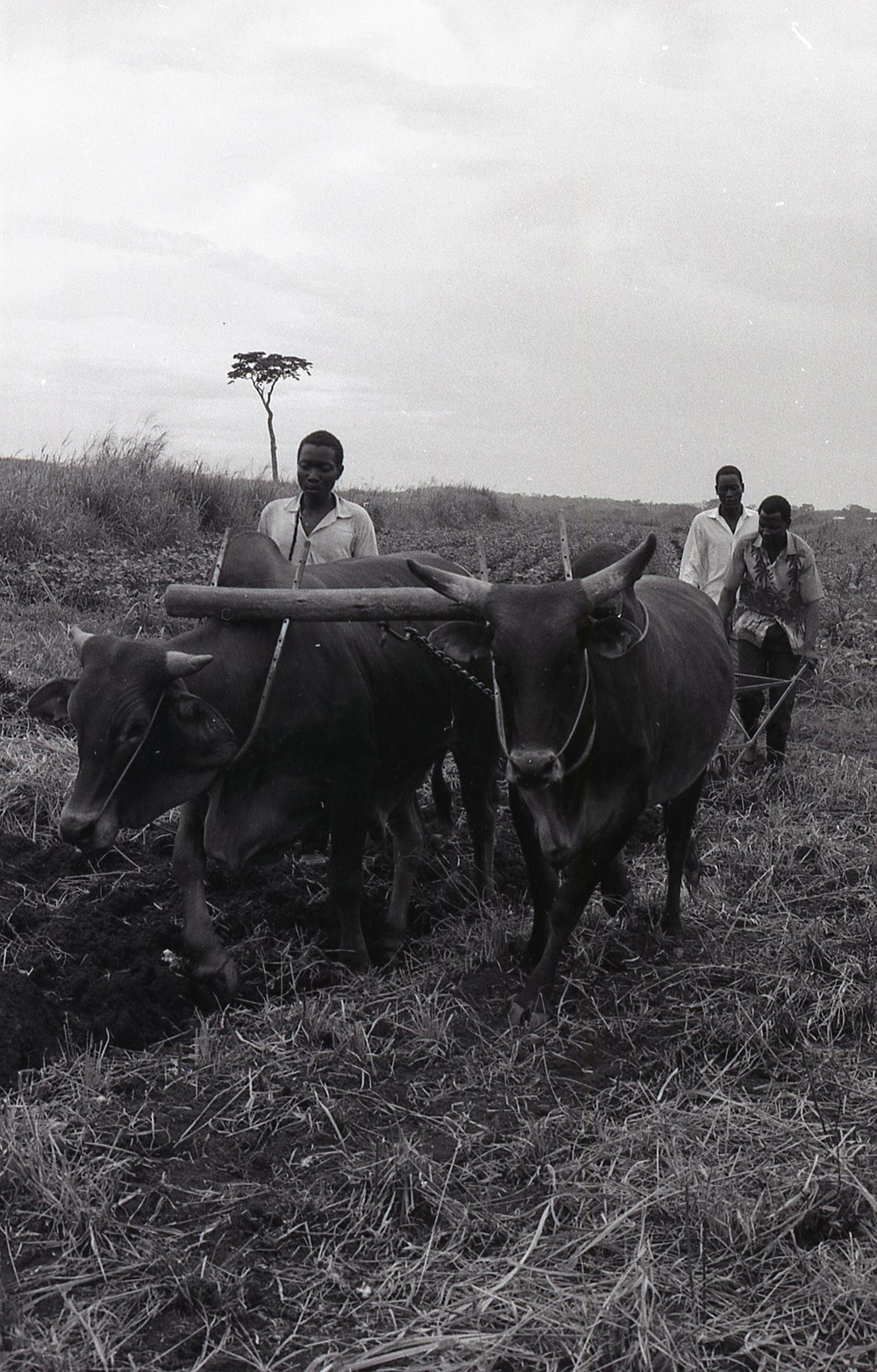 Photos by Millie Morton in Uganda