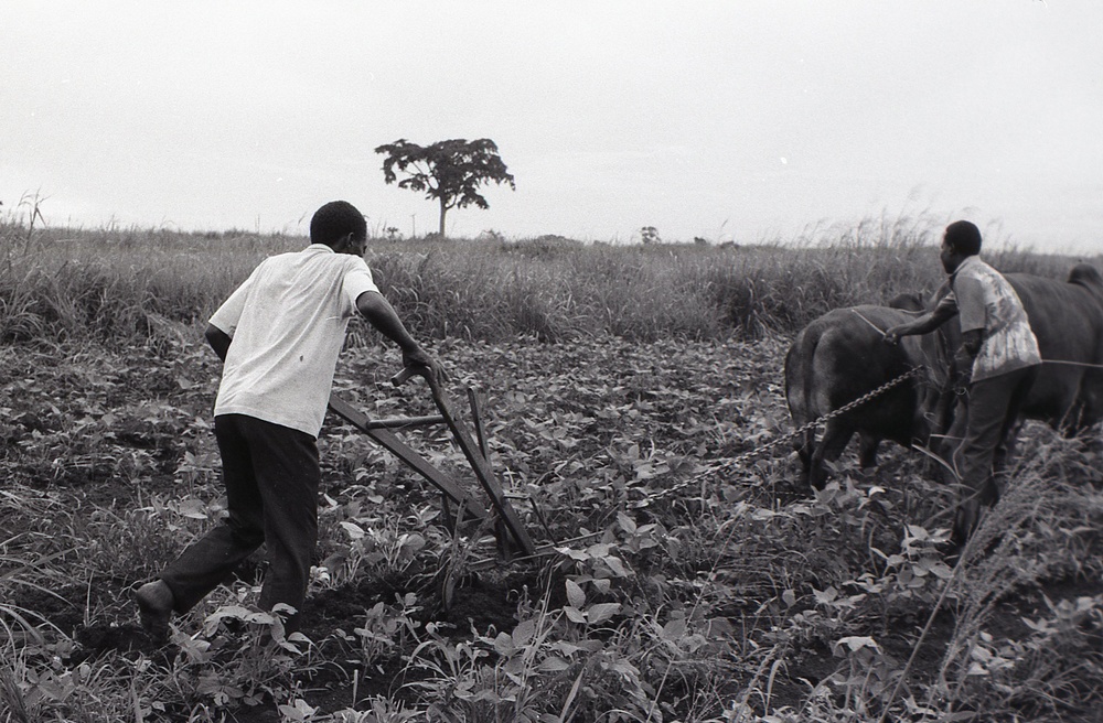 Photos by Millie Morton in Uganda