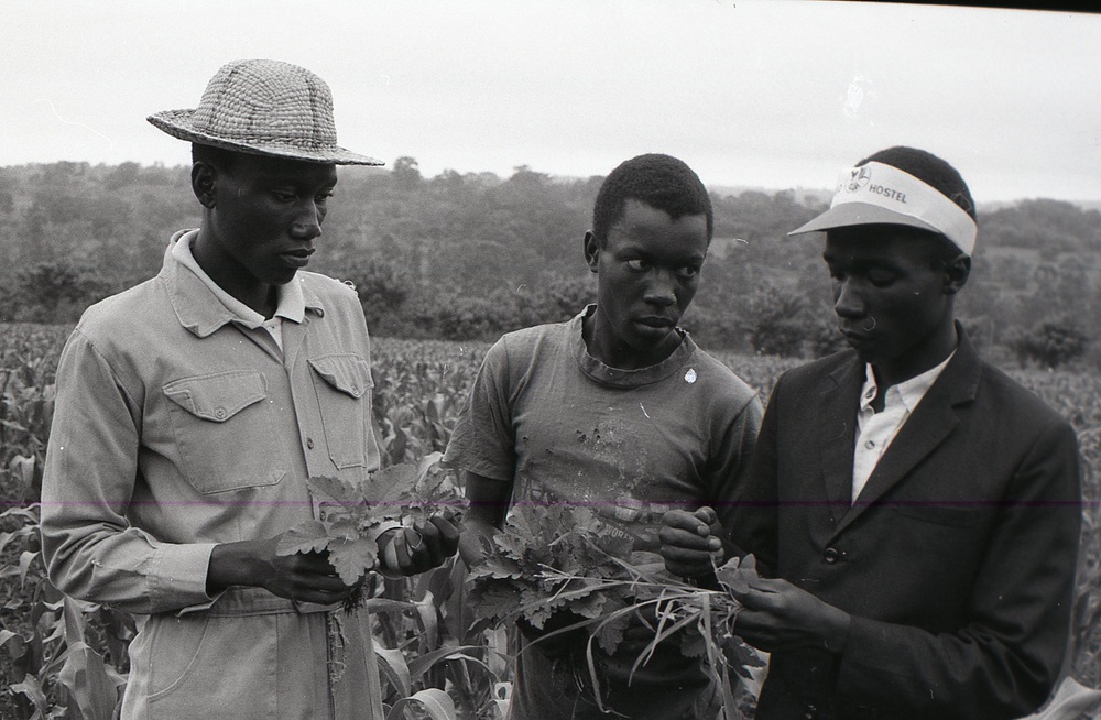 Photos by Millie Morton in Uganda