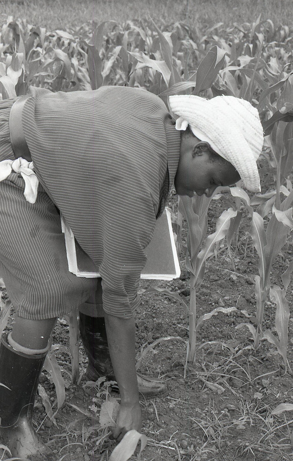 Photos by Millie Morton in Uganda