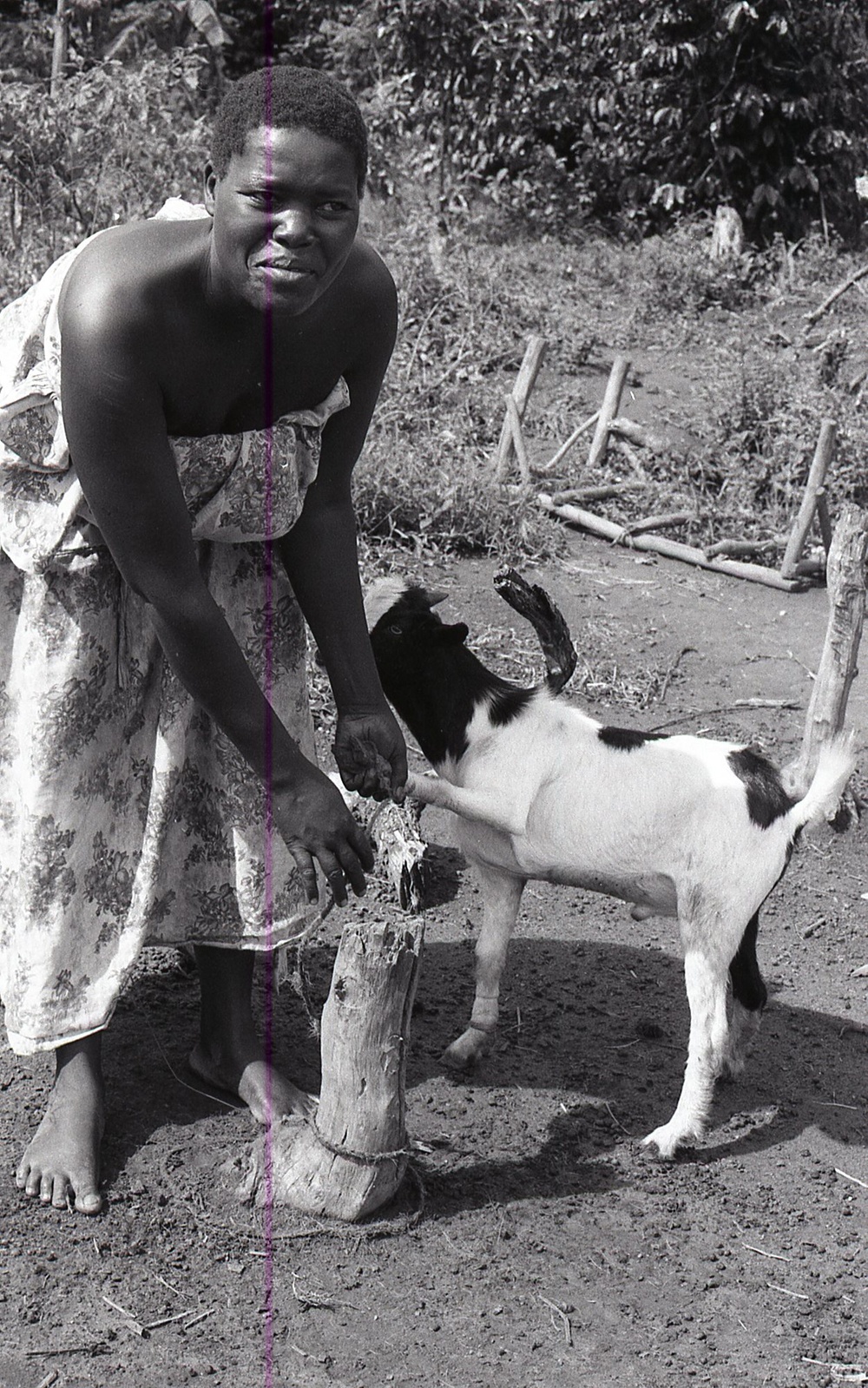 Photos by Millie Morton in Uganda