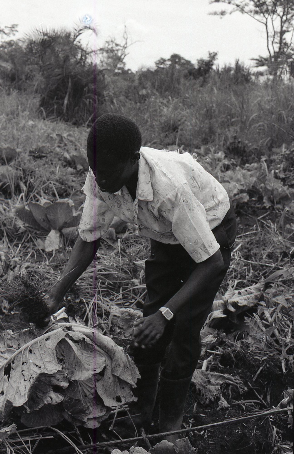 Photos by Millie Morton in Uganda