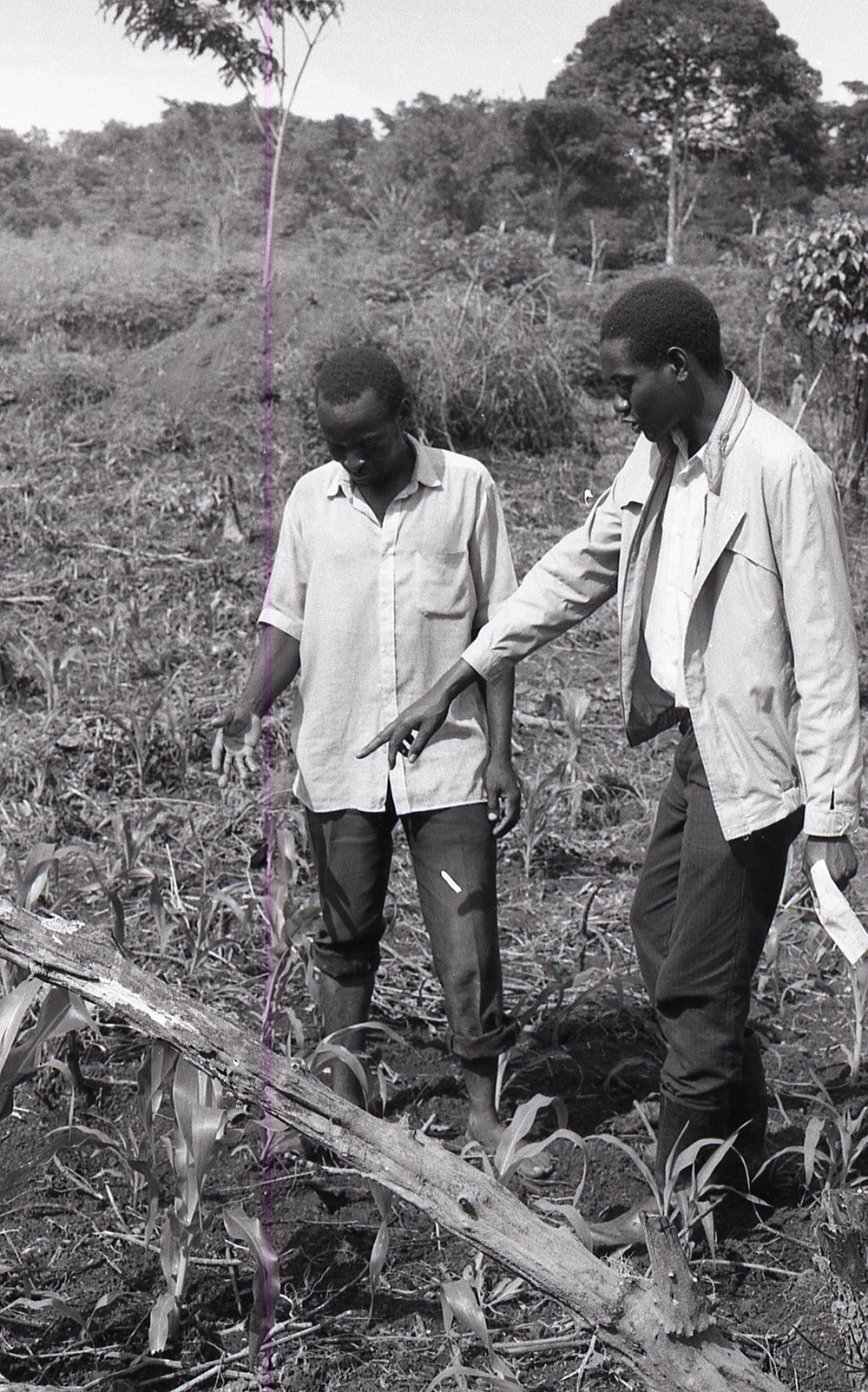 Photos by Millie Morton in Uganda