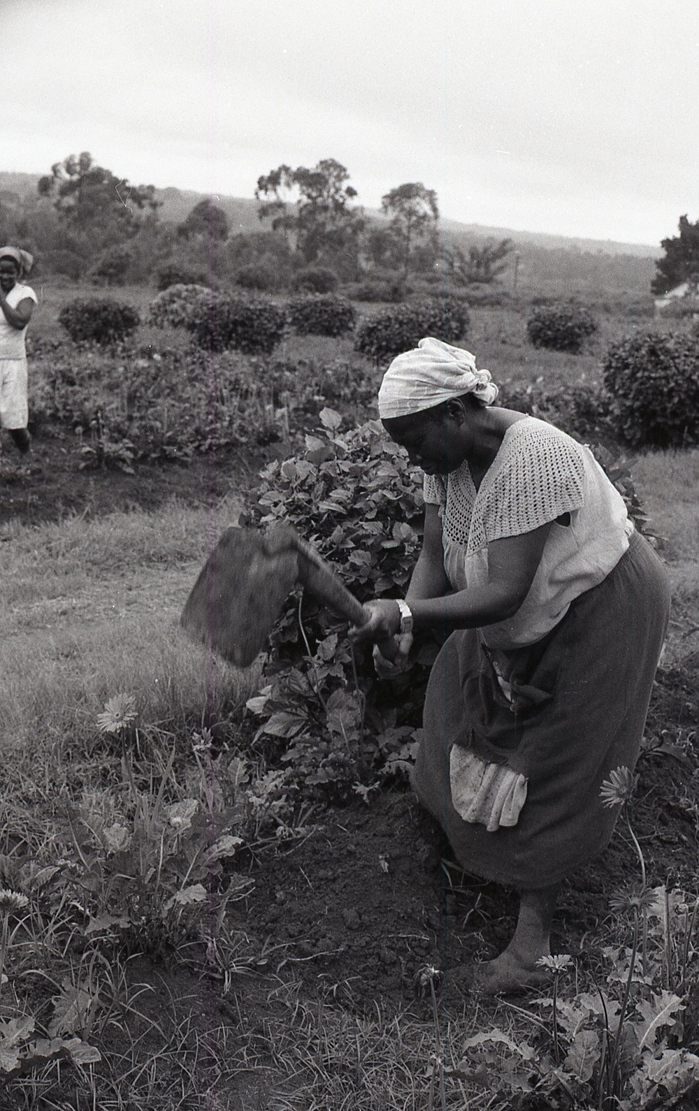 Photos by Millie Morton in Uganda