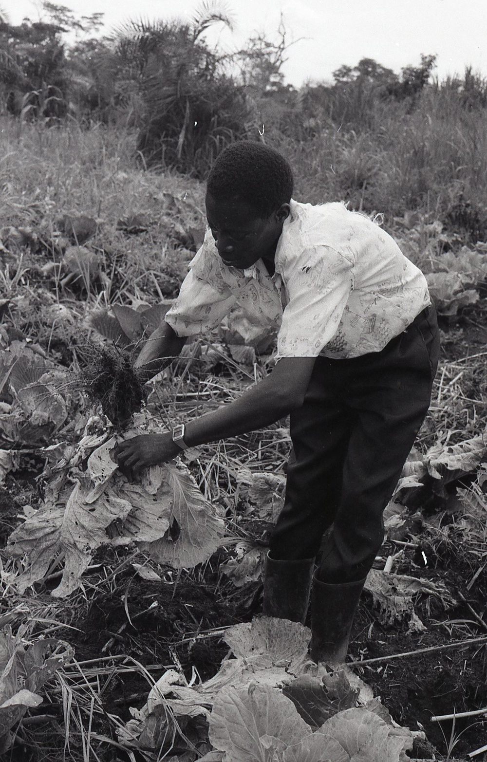 Photos by Millie Morton in Uganda