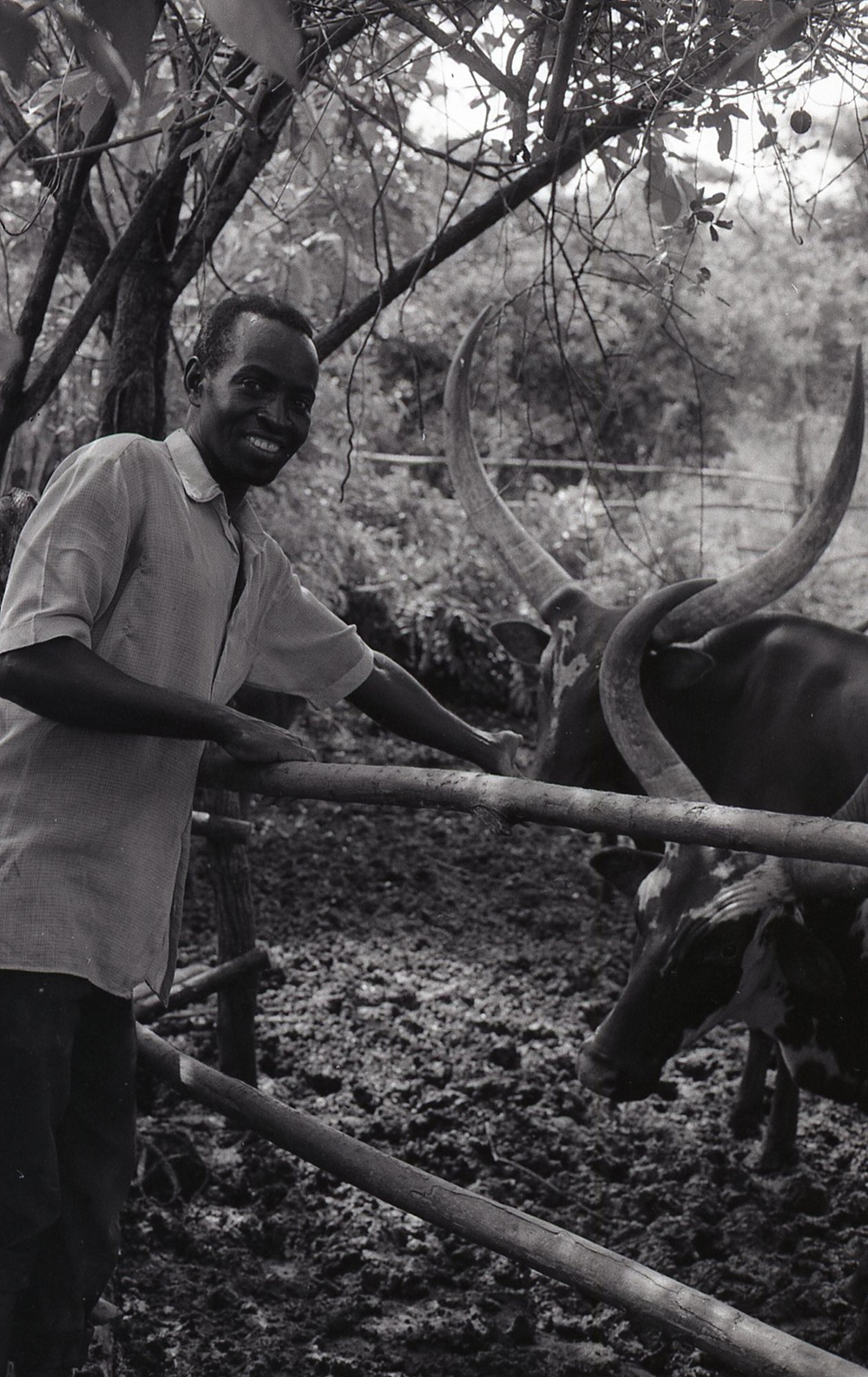 Photos by Millie Morton in Uganda