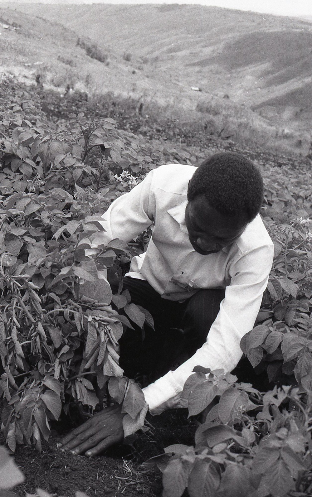 Photos by Millie Morton in Uganda