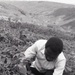 Photos by Millie Morton in Uganda
