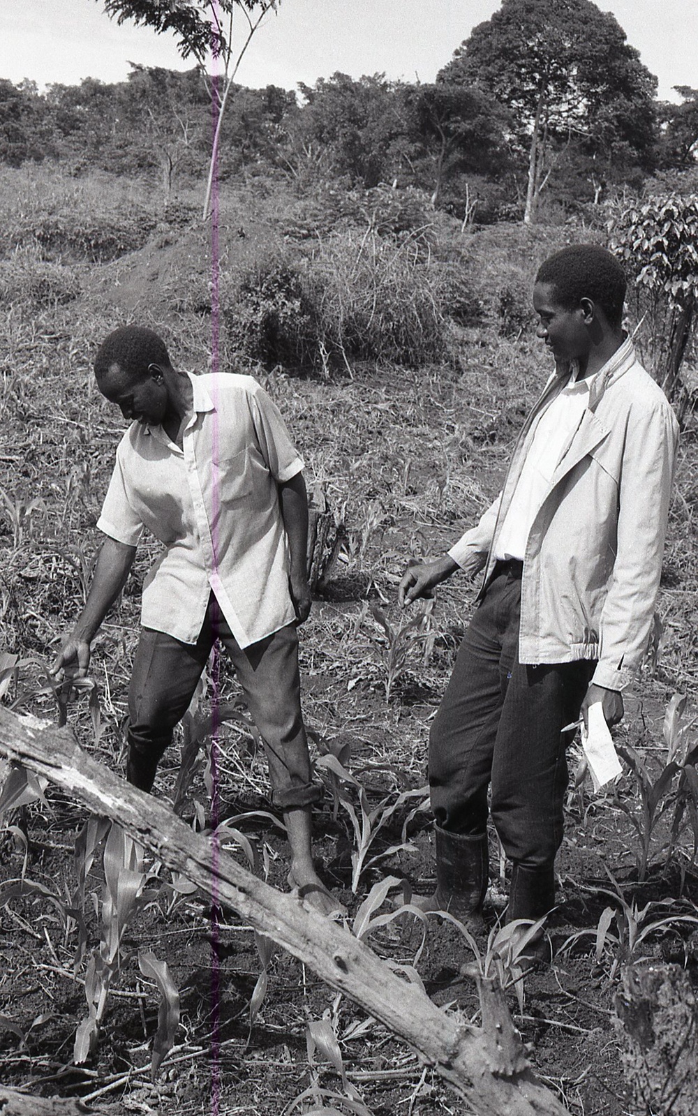 Photos by Millie Morton in Uganda