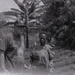Photos by Millie Morton in Uganda