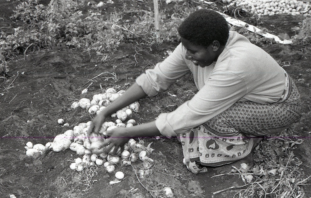 Photos by Millie Morton in Uganda