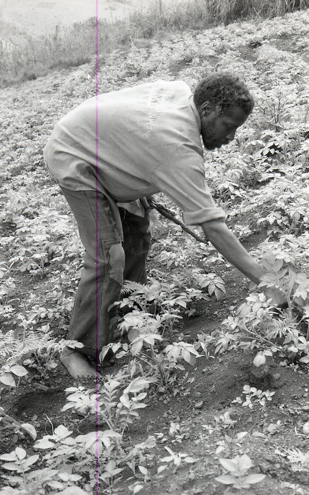Photos by Millie Morton in Uganda