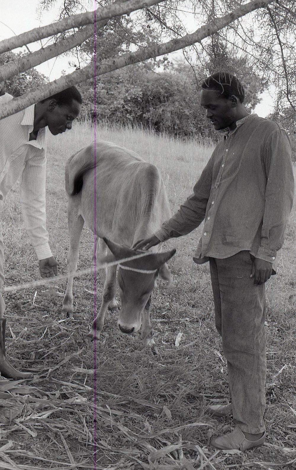 Photos by Millie Morton in Uganda