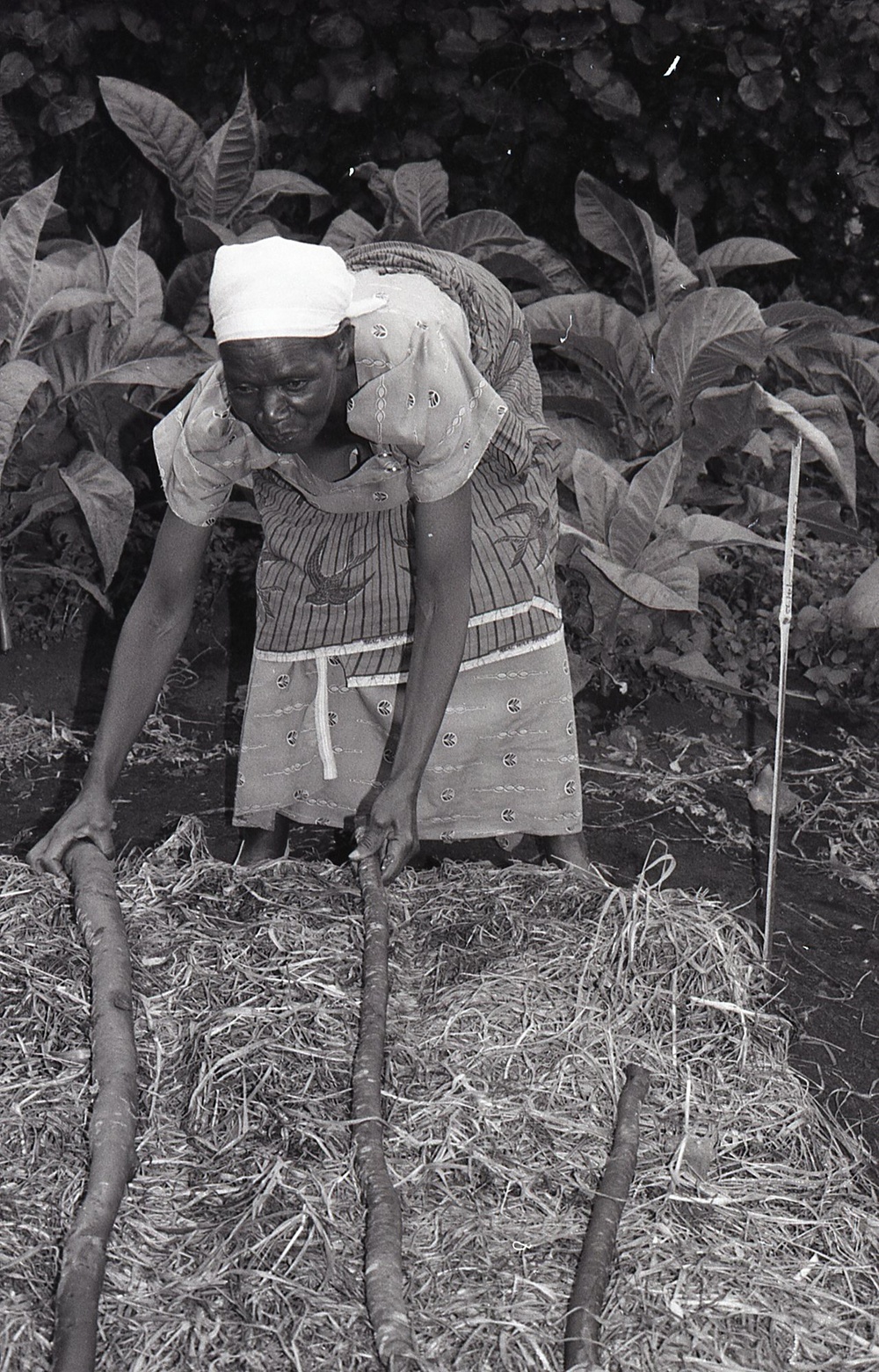 Photos by Millie Morton in Uganda
