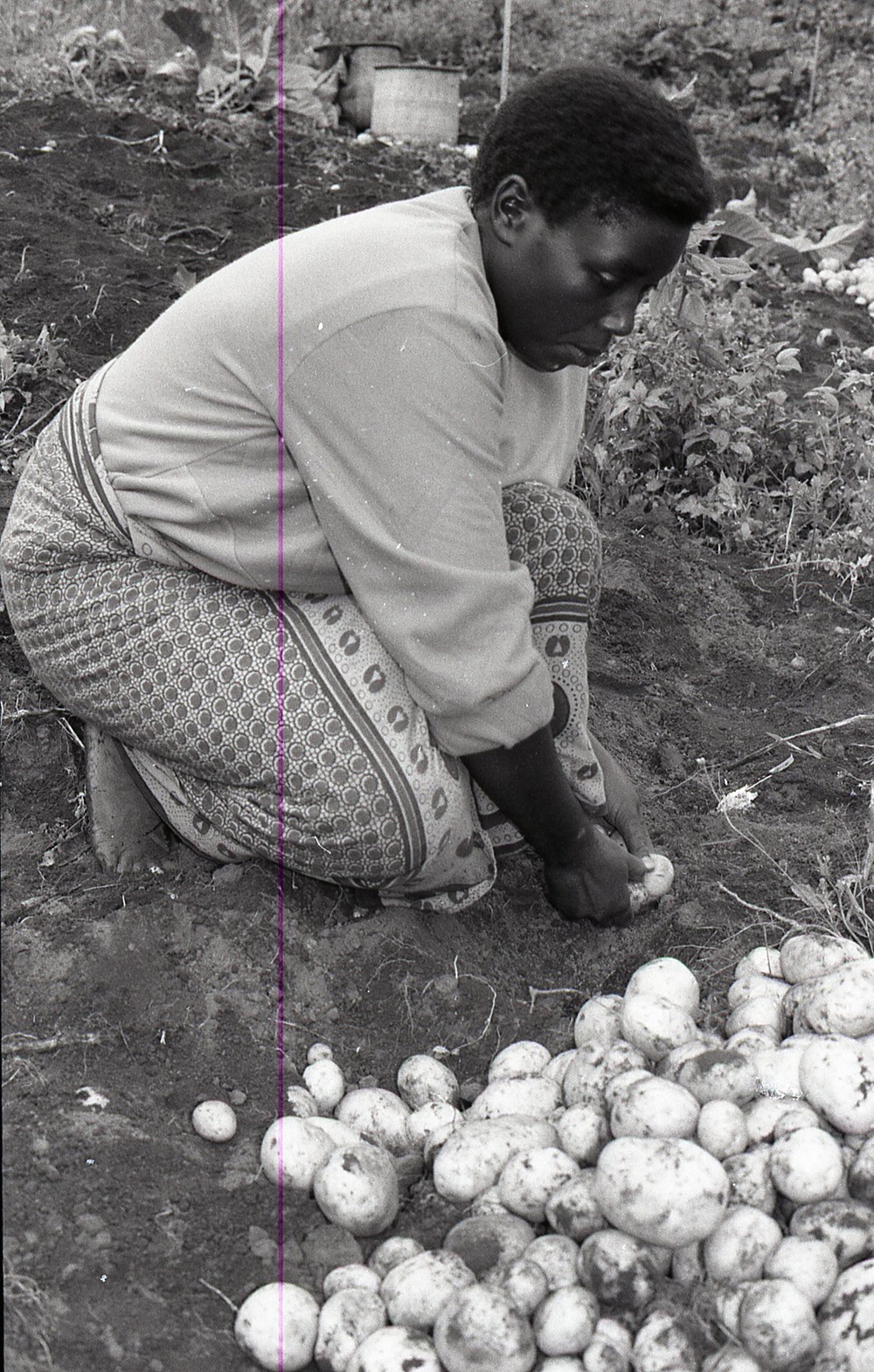 Photos by Millie Morton in Uganda