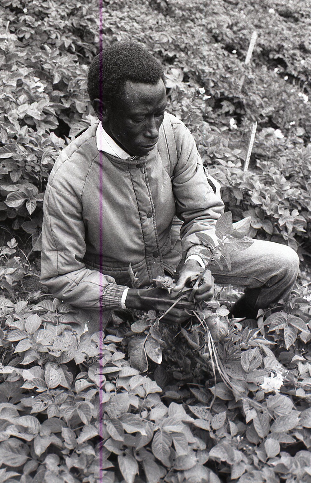 Photos by Millie Morton in Uganda