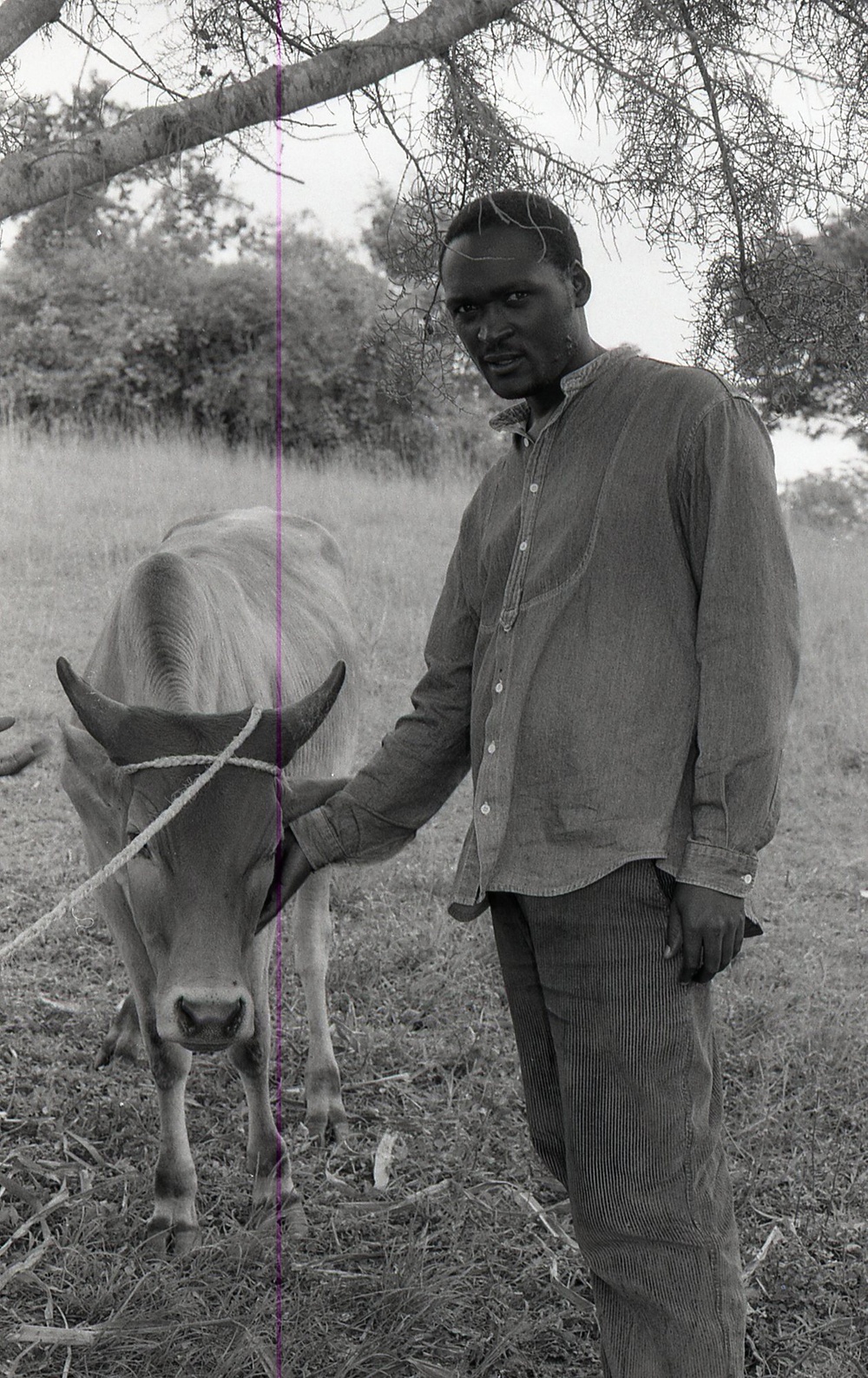 Photos by Millie Morton in Uganda