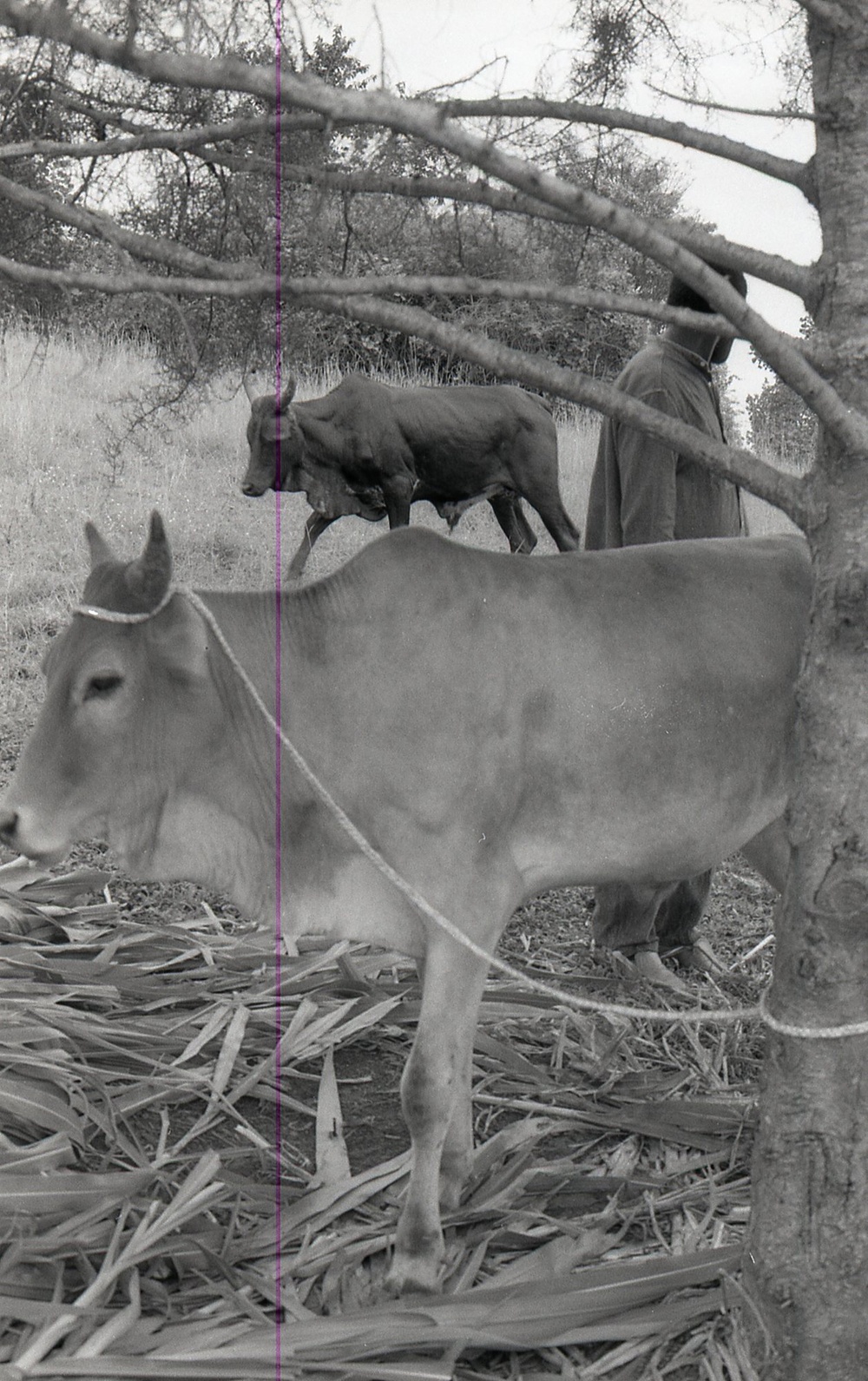 Photos by Millie Morton in Uganda