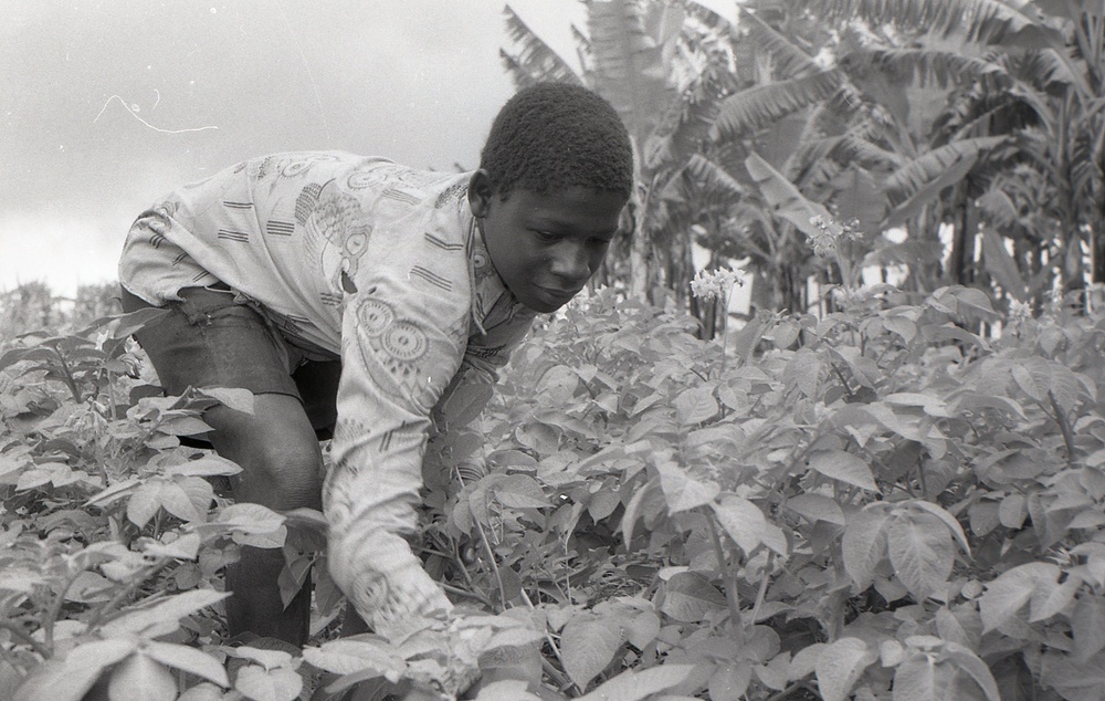 Photos by Millie Morton in Uganda