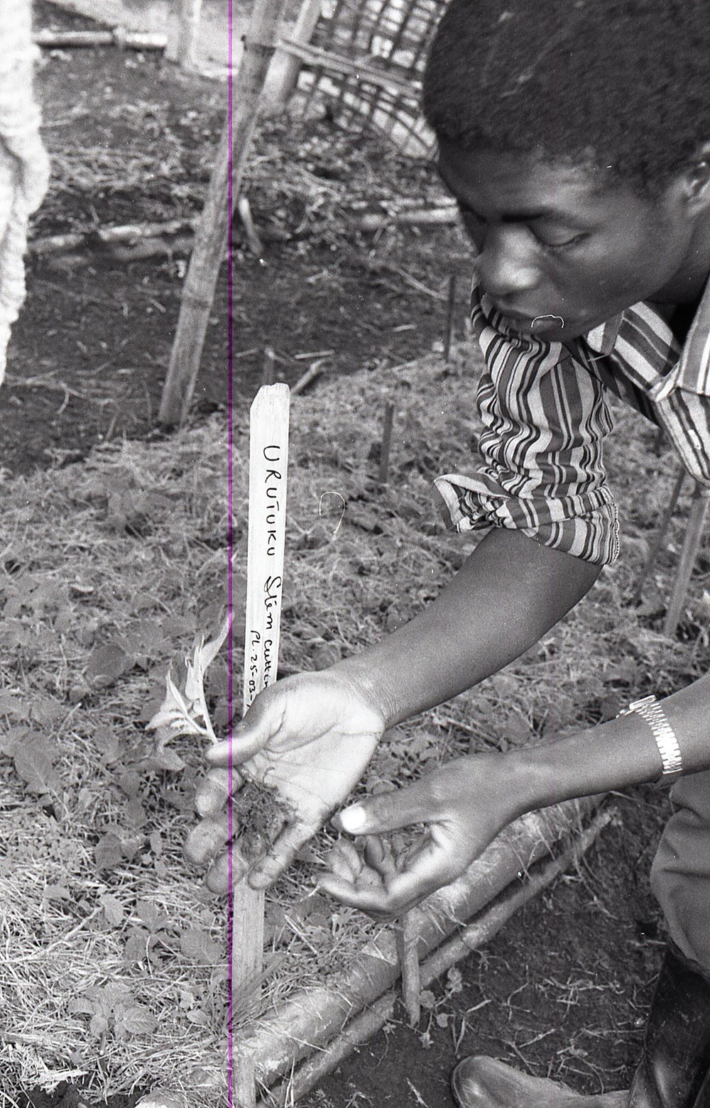 Photos by Millie Morton in Uganda