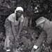 Photos by Millie Morton in Uganda
