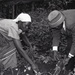 Photos by Millie Morton in Uganda