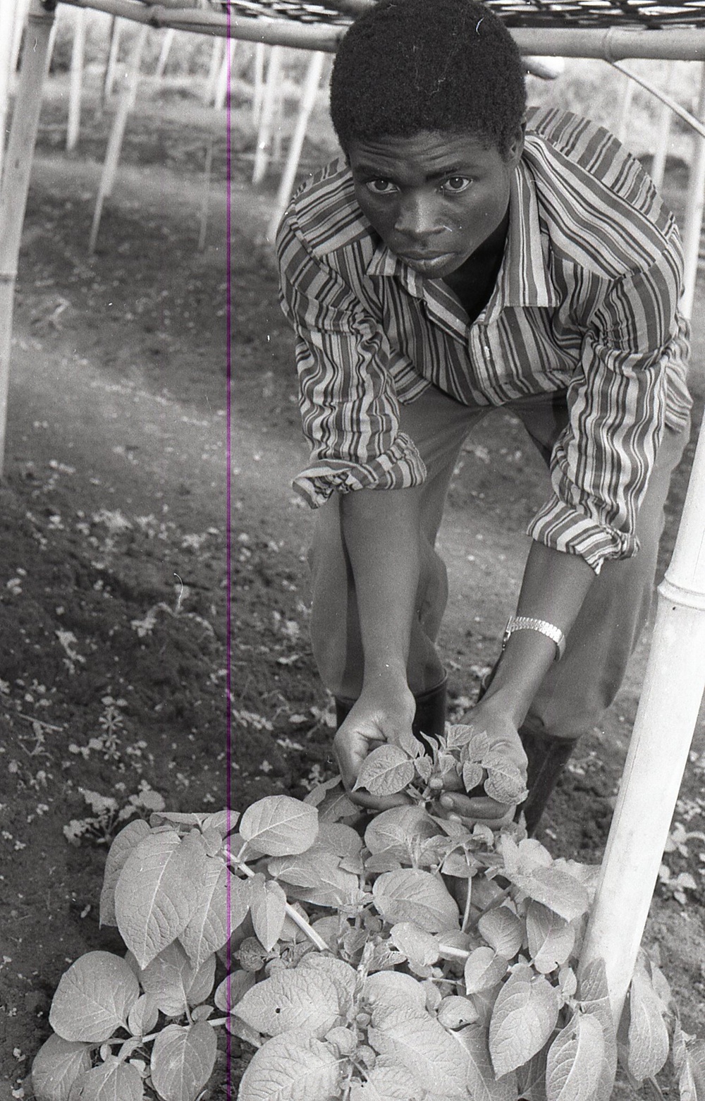 Photos by Millie Morton in Uganda