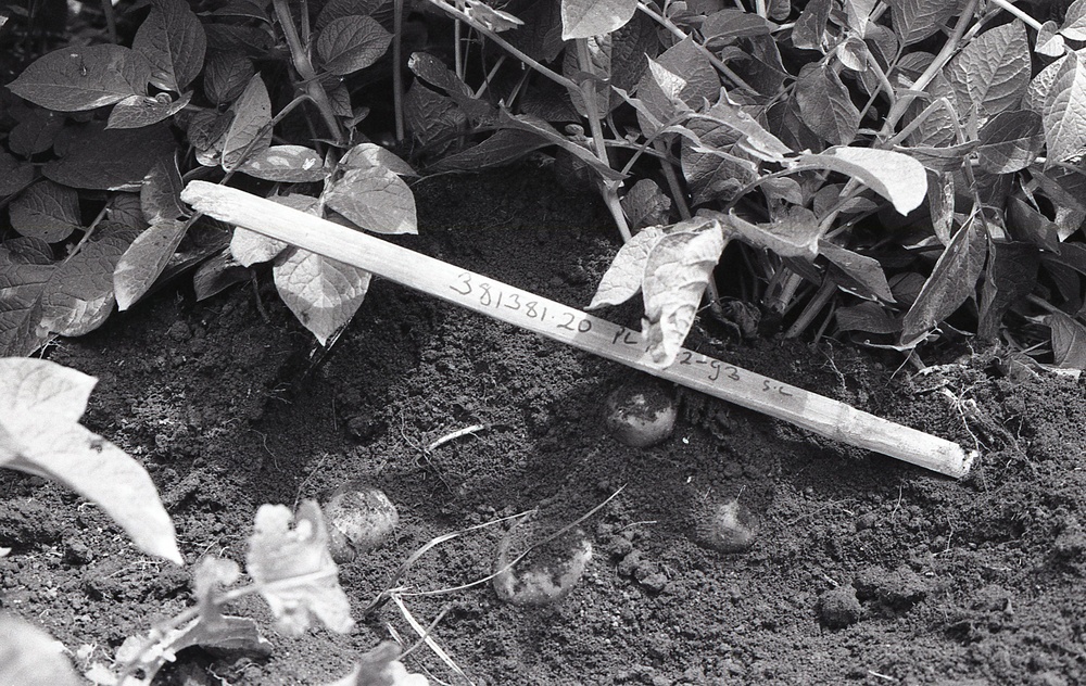 Photos by Millie Morton in Uganda