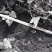 Photos by Millie Morton in Uganda