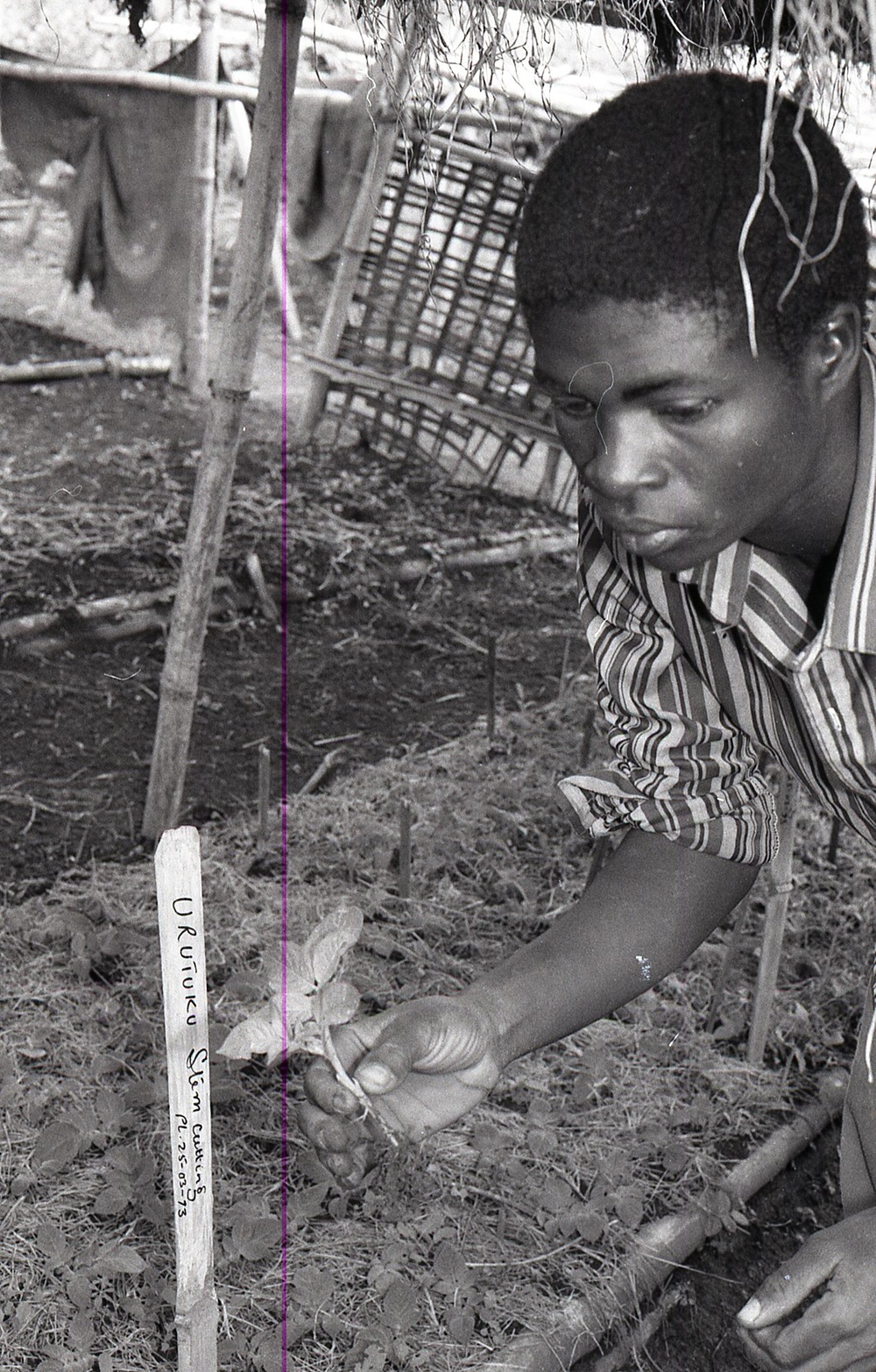 Photos by Millie Morton in Uganda